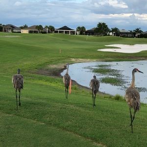 Meet your Posher, Lana